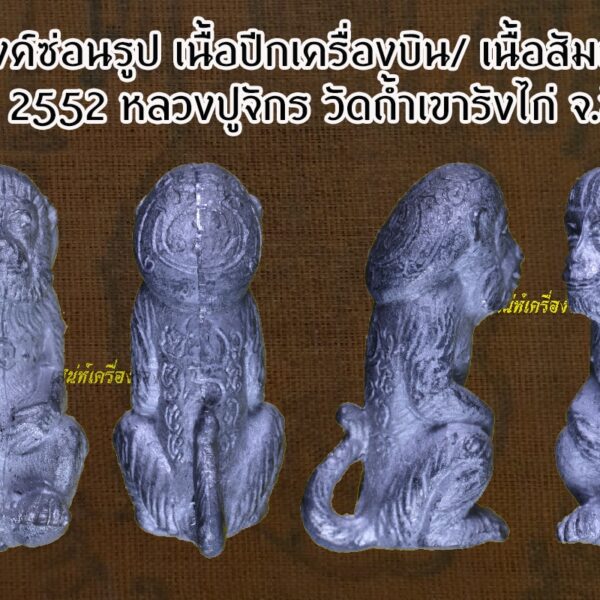 ลิงลึงค์ซ่อนรูป เนื้อปีกเครื่องบิน - Image 5