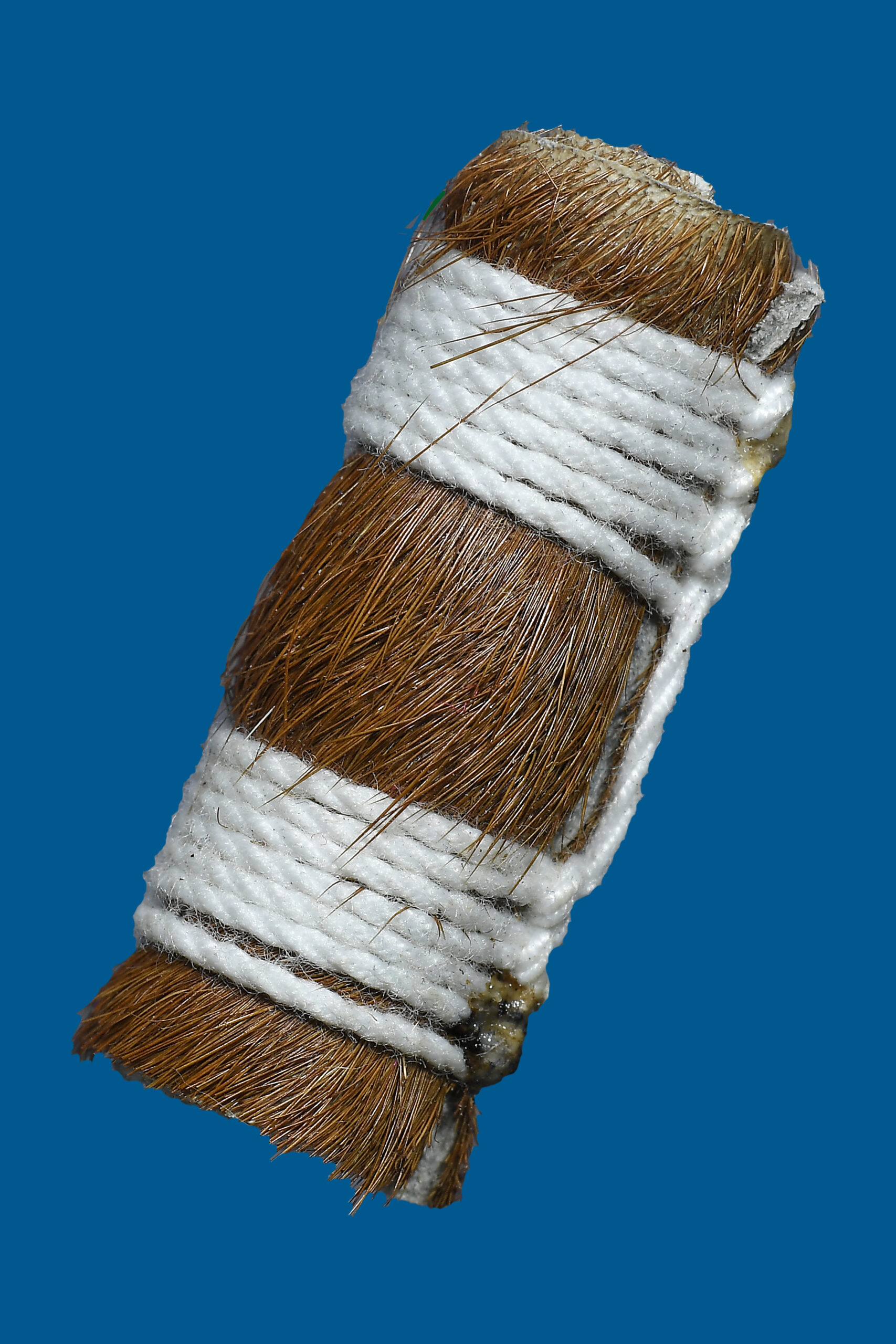 ตะกรุดหนังม้ามหาเสน่ห์ (ม้ากล่อมนาง ) มัด2 เปาะ - Image 6