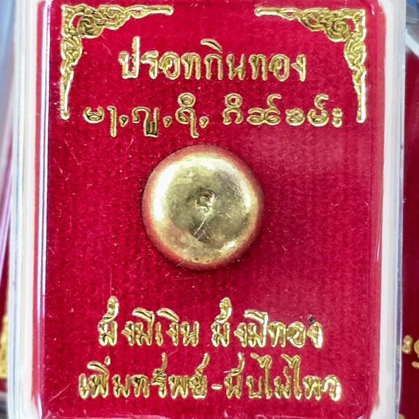 ปรอทกินทอง ดวงเศรษฐีสายแข็ง มั่งคั่ง ร่ำรวย เร็วกว่าดวงปกติเป็นเท่าทวี ครูบาปราบป่าวัดนาหวาย อ.เชียงดาว จ.เชียงใหม่เสก - Image 4