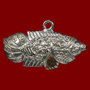 ปลาหมอ อมไข่  เนื้อทองขาว (อัลปาก้า) ทรัพย์ตกจากฟ้า เทวดาประทานทรัพย์ พระอาจารย์นอง มงฺคลิโก วัดอัมพวันดอนใหญ่ ตำบลหนองกรด จังหวัดนครสวรรค์